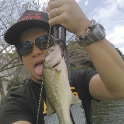 ノーシンカーリグ